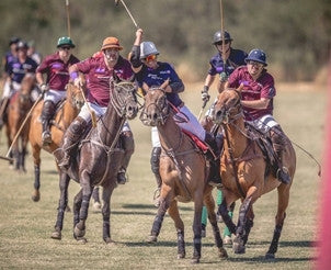 Private Polo Lesson from a Member of a Famed Argentine Polo Family