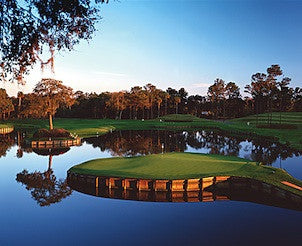 Private Golf Clinic with Professional Golfer at TPC Sawgrass